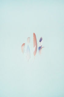 Feathers von Andrei Grigorev