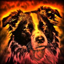 Feuer Hund by kattobello