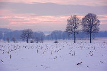 Ein stimmungsvoller Winterabend by gscheffbuch