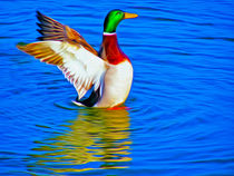 Duck on the Lake (Digital Art) by John Wain
