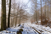 Bei Tauwetter durch den winterlichen Wald  von Ronald Nickel