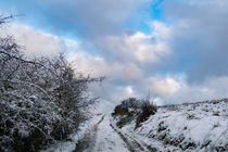 An einer winterlichen Hecke bergauf by Ronald Nickel