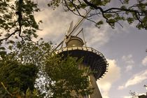 Leiden Mill  by Rob Hawkins