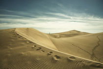 The Sand Dunes of Maspalomas  von Rob Hawkins