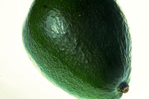avocado von Gunnar Kjäer
