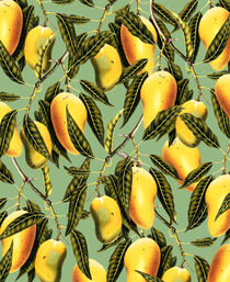 Mango Season by Uma Gokhale