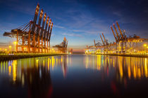 Containerterminal Hamburg by Britta Hilpert