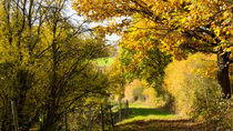 Feldweg im Herbst by Ronald Nickel