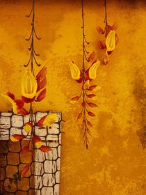 Indian clock vine on golden yellow background  von Ro Mokka