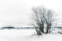 Cold and Snowy Winter Landscape von maxal-tamor