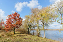 Autumn Trees  Close to the Dnieper River by maxal-tamor