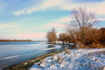 Winter Trees  Close to the Dnieper River by maxal-tamor