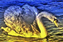Fantastic Swan by kattobello