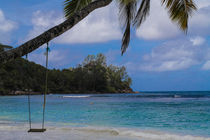 Swing on a coconut tree - Seychelles Islands by stephiii