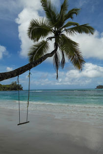 Swing on a coconut tree - Seychelles Islands by stephiii