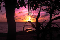 Sonnenuntergang - Seychellen by stephiii