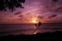 Sonnenuntergang - Seychellen von stephiii