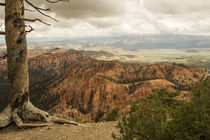 Faszination Bryce Canyon von Andrea Potratz