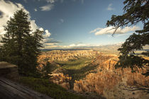 Bryce Canyon by Andrea Potratz