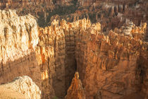 Hoodoos im Bryce Canyon von Andrea Potratz