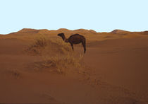 Sahara by Karlheinz Milde