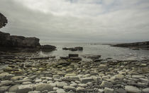 Schottlands Küsten - Natur pur auf Orkney by Andrea Potratz
