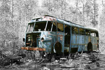 Bus by eksfotos