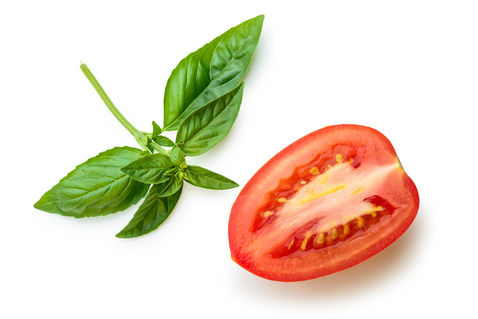 Basilic-and-tomato-01