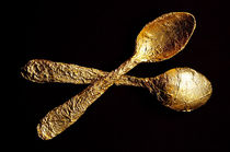 Golden Spoons by maxal-tamor