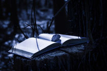 Mysterious Book at Night by maxal-tamor