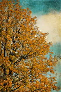 Autumn tree von AD DESIGN Photo + PhotoArt
