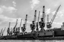 historic cranes in the harbour of Hamburg by anando arnold