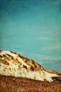 Dunes and blue Sky II von AD DESIGN Photo + PhotoArt