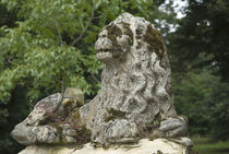 The Stone Lion by fotopoklekowski