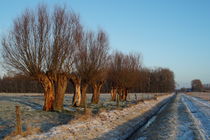 Niederrheinlandschaft im Winter von Frank  Kimpfel