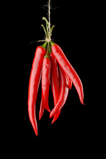 Hanged Chili Peppers by maxal-tamor