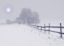 Northeast Winter Wonderland by David Dehner