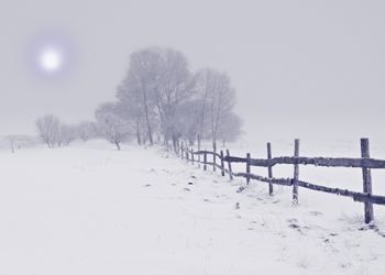 Northeast-winter-wonderland