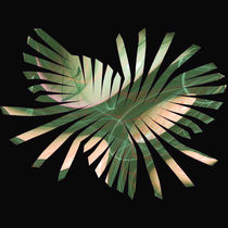 Abstraktes Blatt im Quadrat -  Abstract leaf in square von Chris Berger