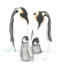 Pinguine von Nadine Conrad
