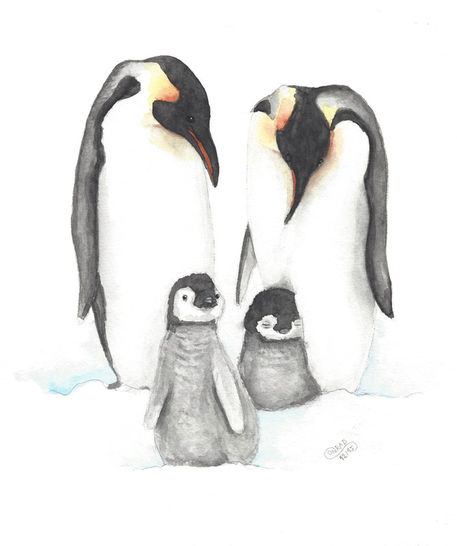 Pinguine-1