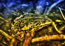 Fantasy Frog von kattobello