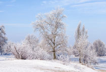 Trees covered by frost, ice and snow close to the Dnieper River by maxal-tamor