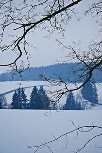 Winterfrieden... 5 by loewenherz-artwork