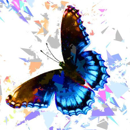 Butterfly-313