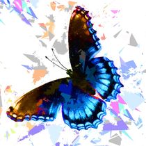 Butterfly 313 von David Dehner