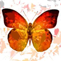 Butterfly 315 von David Dehner