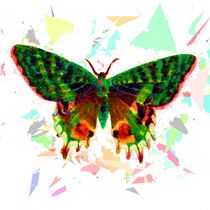 Butterfly 316 von David Dehner