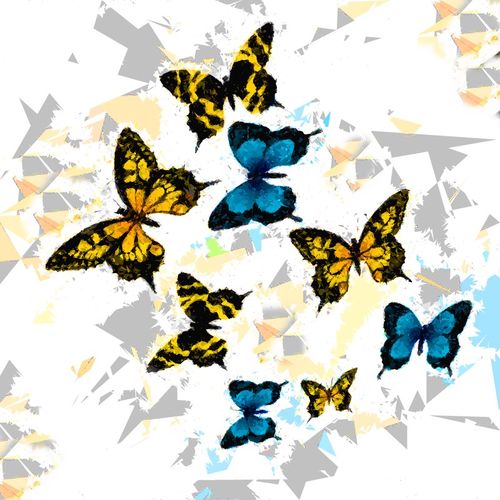 Butterfly-318