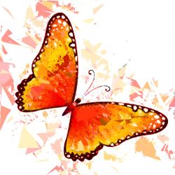 Butterfly-319